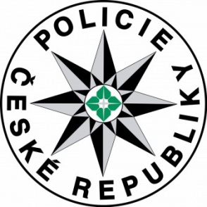 Profesionální policejní práce