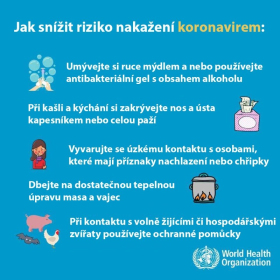 V Kralupech nad Vltavou byl prokázán výskyt koronaviru