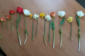 Trhala okrasné květiny