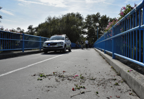 Vytrhával kytky na lávce