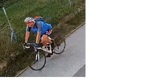 Žádáme veřejnost o pomoc