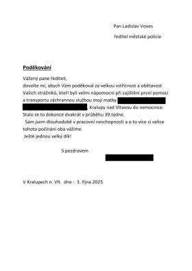 Strážníci pomohli ženě se zraněnou nohou